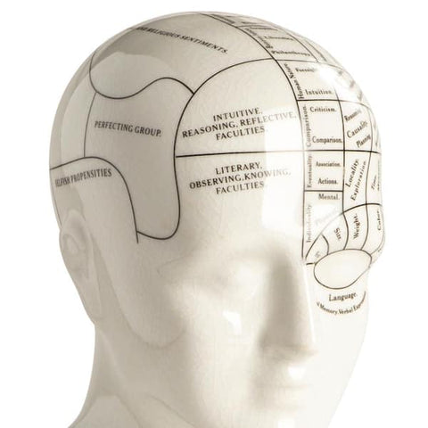 "AUTHENTIC MODELS TESTA FRENOLOGIA ART MG024"